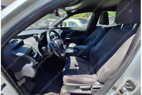 2021 Lexus UX 250h, Benzinas / Elektra